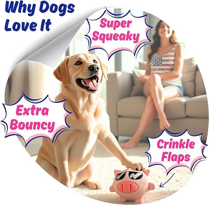 Dog Toy for Aggressive Chewers, Tough Squeaky Chew Ball, Large Breeds Gift