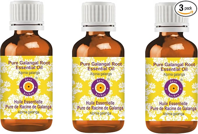 Deve Herbes Pure Galangal Root Essential Oil (Alpinia Galanga) Steam Distilled (Pack of Three) 100ml X 3 (10 oz)