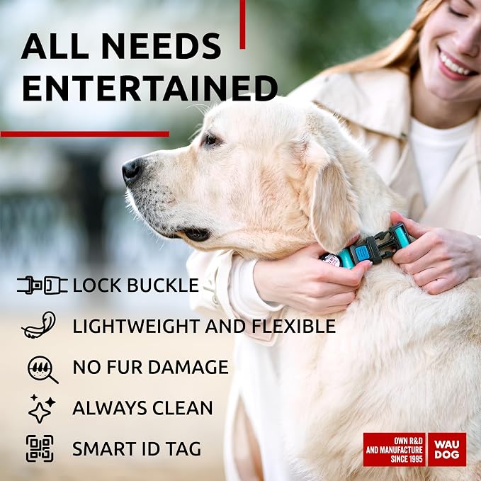WAUDOG Waterproof Dog Collar Airtag Holder QR Tag Small Medium Large Dogs | Water and Dirt Resistant, Quick Dry QR Pet Tag Adjustable Durable Comfort for Male and Female Dogs Outdoor Walking Training