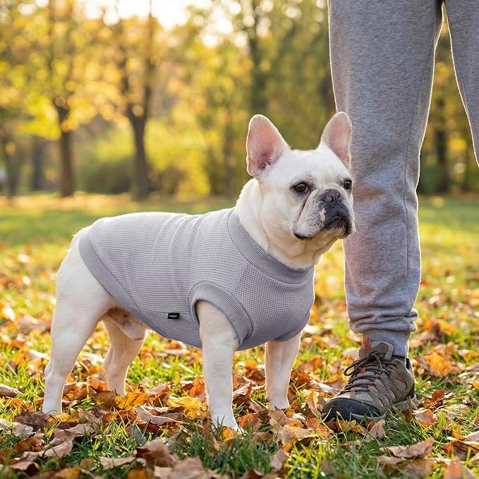 2 Pack Dog Shirt for Small Supplies Functional Waffle Dog Clothes Warm Soft Sweatshirt Outfit for Dogs Cats Pet Apparel