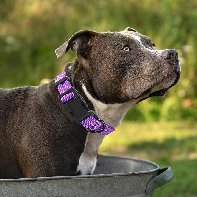 Mile High Life Reflective Dog Collar, Adjustable Lightweight Quick Release