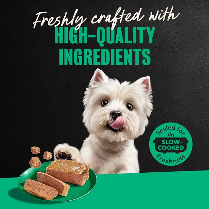 Cesar Classic Loaf in Sauce Wet Dog Food, Turkey Recipe, 3.5 oz, 24 Count | Made in USA, Real turkey #1 ingredient, no fillers, no added sugar, no artificial flavors, slow-cooked, easy peel trays