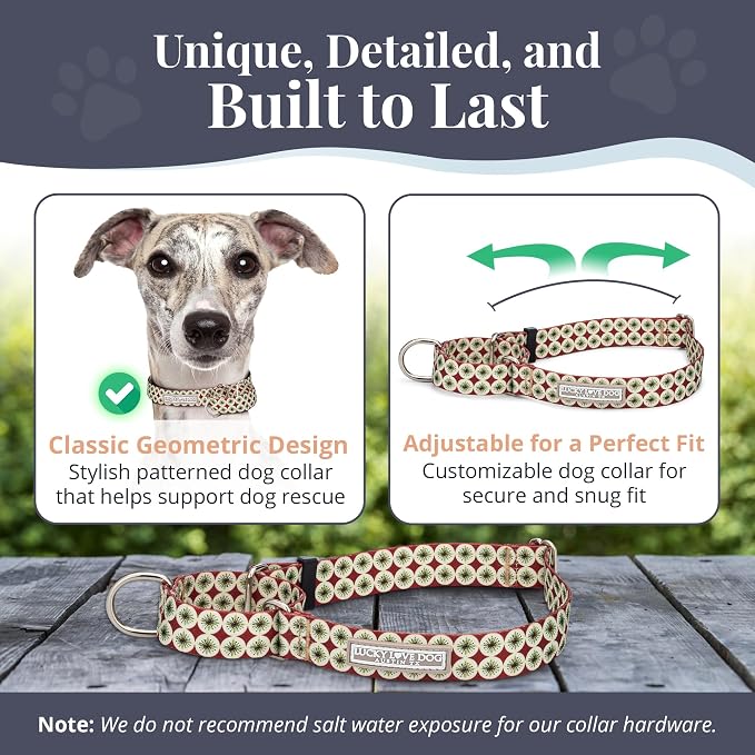 Lucky Love Dog Martingale Collar for Medium Dogs No Slip – Pongo, Medium