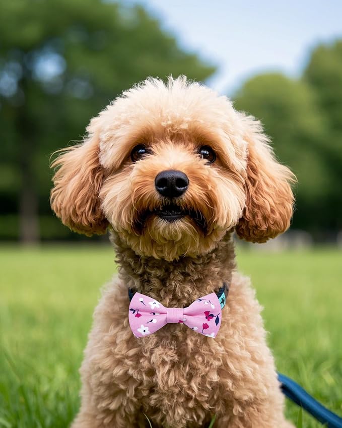 PET SHOW 5 Pack Dog Bowties Floral for Small Dogs Slide on Collar