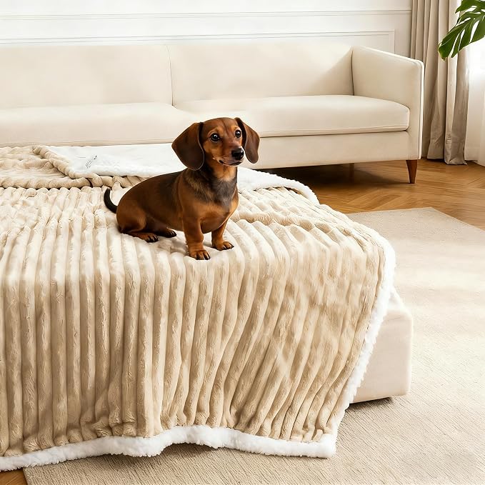 Waterproof Dog Blanket Brown 40x50 in | Soft Pet Cat Blanket Cozy Calming Sherpa Corduroy Fleece Reversible Furniture Bed Protector for Dogs Cats Machine Washable