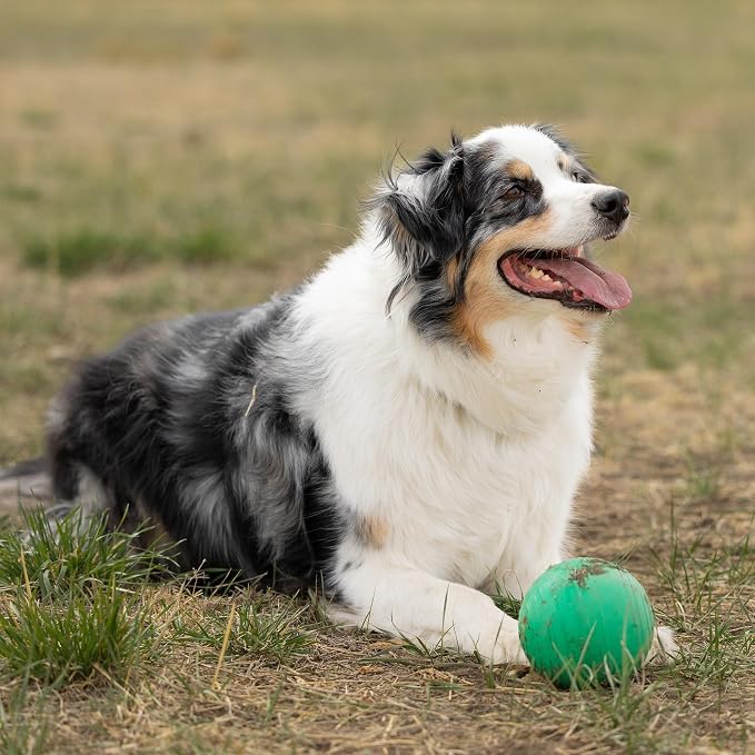 PetKORE: KoreFlex Ball - 4.75" Large, Green, Dog Toy, Shape Maintaining Rubber, Treat Stuffing Center, Bounce-Fetch-Chew, Pet Indoor-Outdoor Play