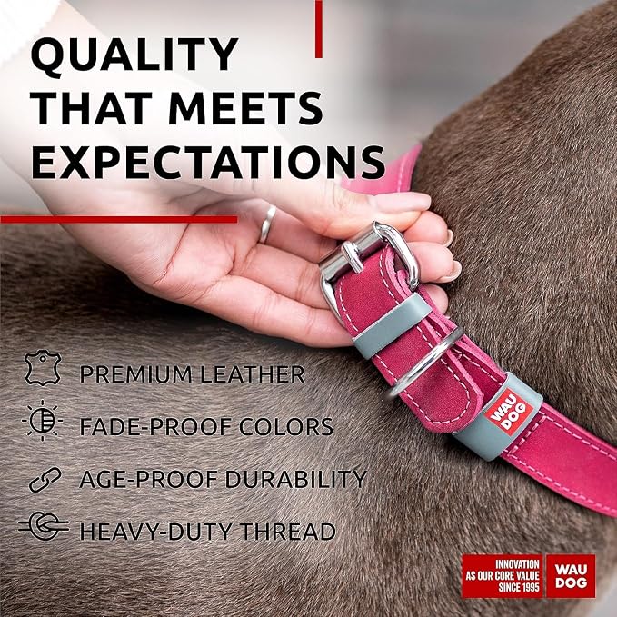 WAUDOG Genuine Leather Dog Collar Adjustable Large Medium Small QR Code Tag