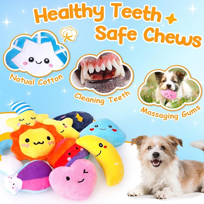 Weather-Themed 20-Pack Squeaky Dog Toys Set
