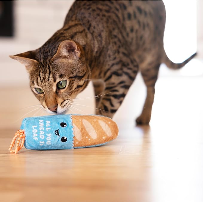 Catstages Loaf Kicker Interactive Cat Toy with Catnip & Dental Mesh, 6.5"