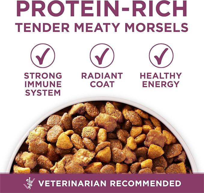 Purina ONE Plus Healthy Puppy Dry Food, Chicken, 16.5 lb Bag | High protein dog food for puppies, real chicken, DHA to support vision and brain development, antioxidants for immune support