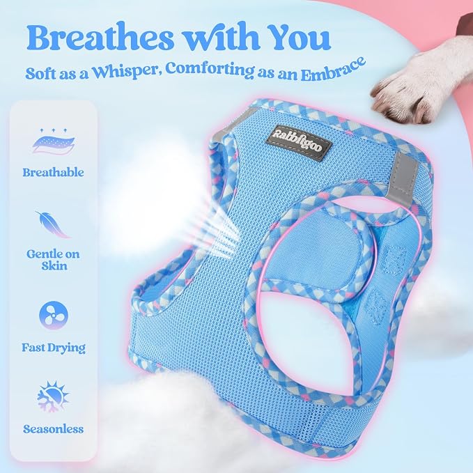 rabbitgoo Dog Harness Small Sized and Leash Set, Step-in Puppy Pet Vest | Light, Soft, Breathable Air Mesh, Easy on and Remove with Hook & Loop, Secure Reflective for Walking, Blue & Plaid Trim XXS