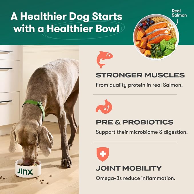 Jinx Dry Dog Food - Real Salmon, Brown Rice & Sweet Potato, 4lb | Premium Kibble for Digestive Support & Healthy Immunity - No Fillers, All Lifestages (Puppy, Adult & Senior), Breeds & Sizes