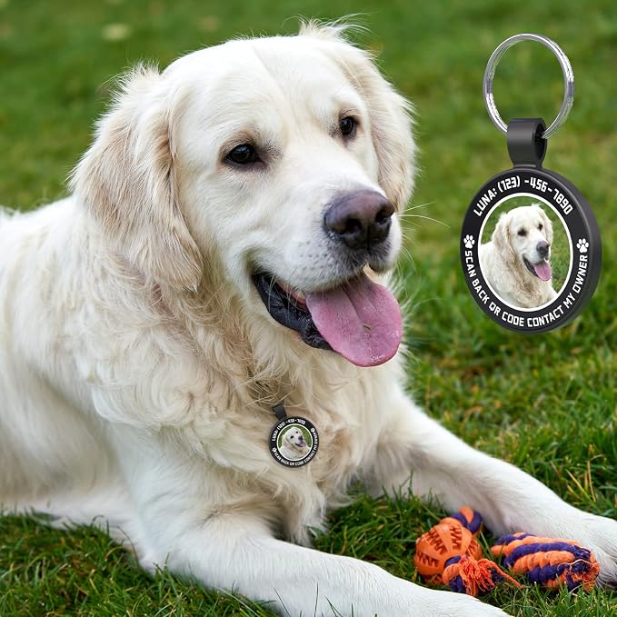MYLUCKYTAG Personalized QR Code Pet ID | Dog & Cat Collar Tag | Online Profile with Instant Scanned Location Alert Email