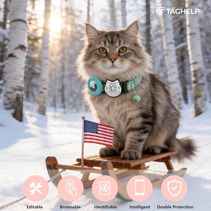 Cat Collar with AirTag Holder, QR Code Tag and Bell (Green)
