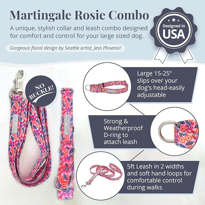 Lucky Love Dog Martingale Collar & Leash Set No Slip Cute – Rosie, Large