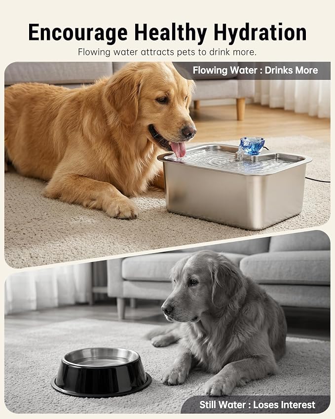 PETNF 2.6-Gallon 304 Stainless Steel Dog Water Fountain for Large Dogs, Extra Wide Drinking Area, Automatic Water Bowl Dispenser for Large Dogs & Multi-Pet Homes, 7-Stage Filtration System, Quiet Pump