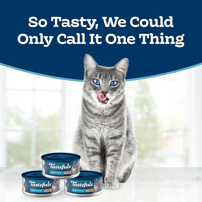 Blue Buffalo Tastefuls Turkey & Chicken Paté Wet Cat Food, 5.5 oz, 24 ct | Real Turkey First, Paté Style, No Chicken By-Product, Corn, Wheat, or Soy