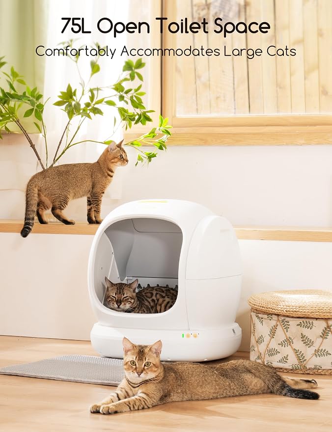 Meowant Self-Cleaning Cat Litter Box, 75L Extra Large Open-Top, APP Control | Automatic Cat Litter Box for Multi Cats, Low Entry Safety Protection/Health Monitor/Odor Removal Smart Box with Mat & Liner