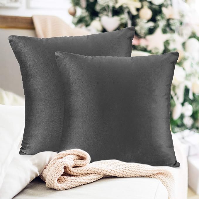 Nestl Throw Pillow Inserts Pack of 2 with Velvet Soft Solid Decorative Square Throw Pillow Covers Set for Sofa Couch Car Bedroom with 18X18 Throw Pillows Inserts with Cushion Covers, Charcoal Grey