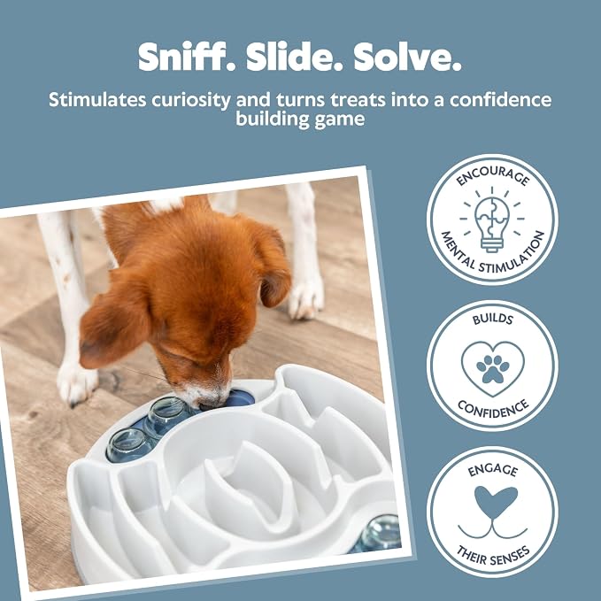 TRIXIE Slide & Feed Dog Activity Interactive Toy, Level 1 Food Puzzle Game, Brain Teasing Treat Dispenser, IQ and Mental Development Toy for Smart Dogs, Enrichment Toy for Boredom Busting