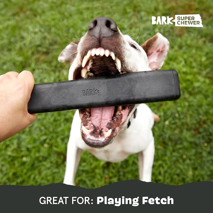 BarkBox Throwbar Super Chewer - Toy for Medium to Large Dogs