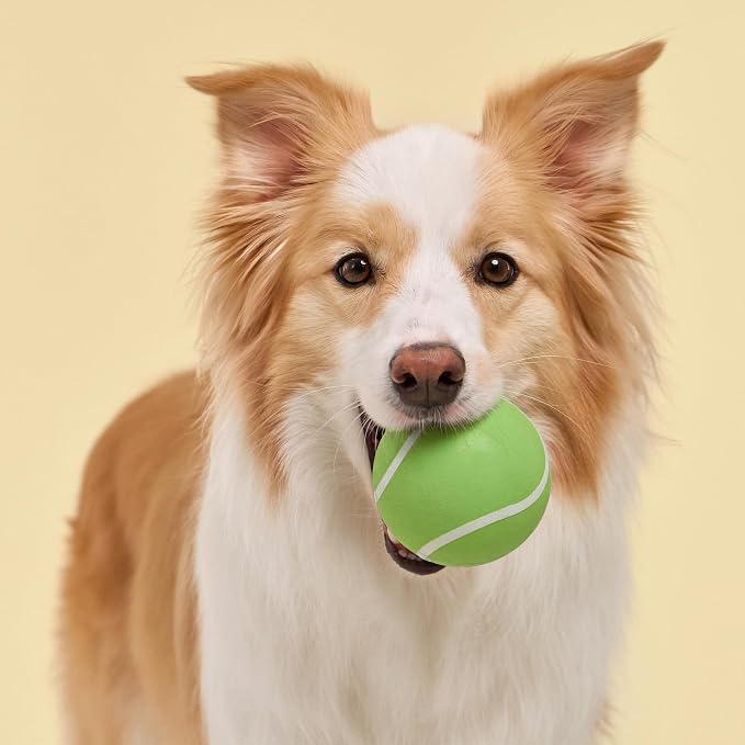 Playology Squeaky Chew Ball Dog Toy - Jumbo, Sweet Potato Scent
