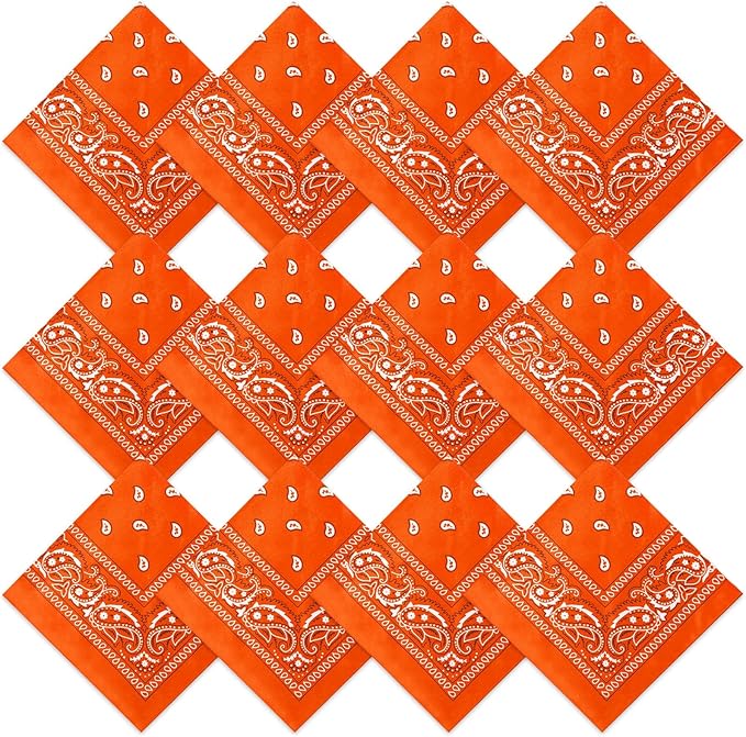Suhine 12 Pcs Bandanas Bulk 22 x 22 Inch Paisley Headband Cowboy Handkerchief Christmas Thanksgiving Gift for Women Men