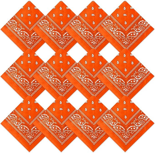 Suhine 12 Pcs Bandanas Bulk 22 x 22 Inch Paisley Headband Cowboy Handkerchief Christmas Thanksgiving Gift for Women Men