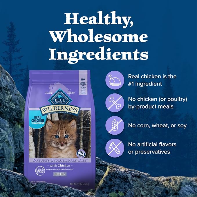 Blue Buffalo Wilderness Chicken Kitten Dry Cat Food, Grain-Free, 2 lb | High Protein, Real Chicken #1 Ingredient, DHA & ARA for Brain and Eye Development, Antioxidant-Rich LifeSource Bits