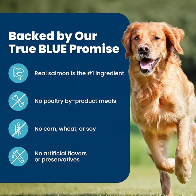 Blue Buffalo Life Protection Formula Salmon Adult Dry Dog Food, 40 lb | Real Salmon #1 Ingredient, Chicken-Free Recipe, Antioxidant-Rich LifeSource Bits, Promotes Healthy Muscle Development