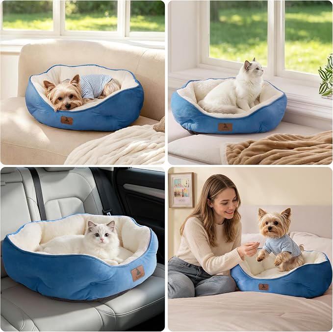 Small Dog Bed for Small Dogs, Cat Beds for Indoor Cats, Pet Bed for Puppy and Kitty, Extra Soft & Machine Washable with Anti-Slip & Water-Resistant Oxford Bottom, Light Blue, 20 inches
