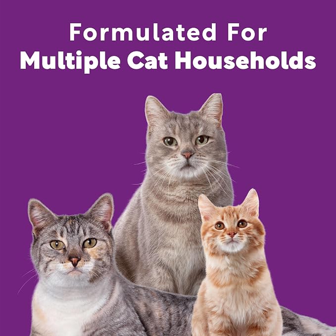 Scoop Away Advanced Multi Cat Clumping Cat Litter, 18.5lb, 2Pk | Meadow Fresh Scent, Clumping Litter for Multiple Cats, Compatible with Most Automatic Litter Boxes