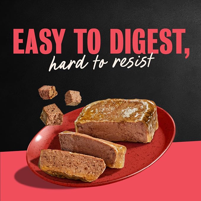 Cesar Classic Loaf in Sauce Wet Dog Food, Beef Recipe, 3.5 oz, 24 Count | Real beef #1 ingredient, Made in USA, Easy peel trays, no fillers/added sugar/artificial flavors, use as meal or topper