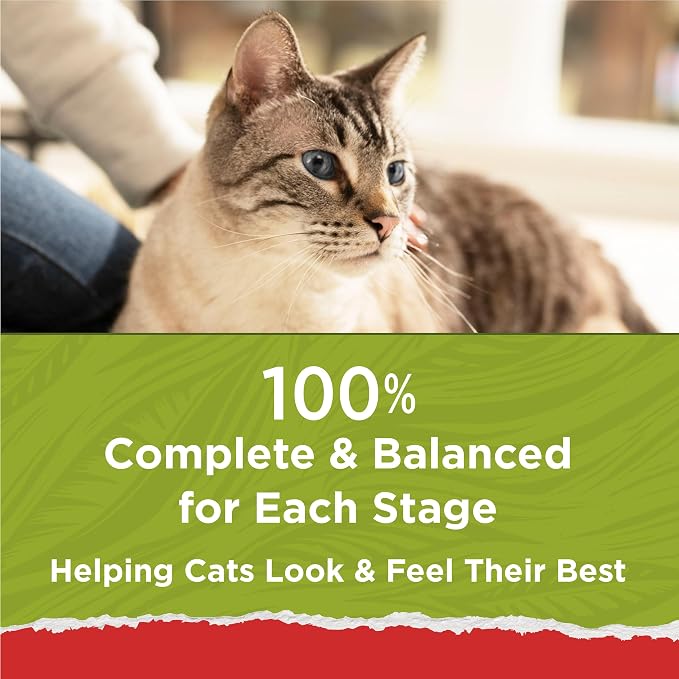 Purina Cat Chow Naturals with Added Vitamins, Minerals and Nutrients Dry Cat Food, Naturals Original - (Pack of 4) 3.15 lb. Bags | Indoor cat food with real chicken and salmon plus whole grains, natural nutrition with added vitamins, minerals and nutri...