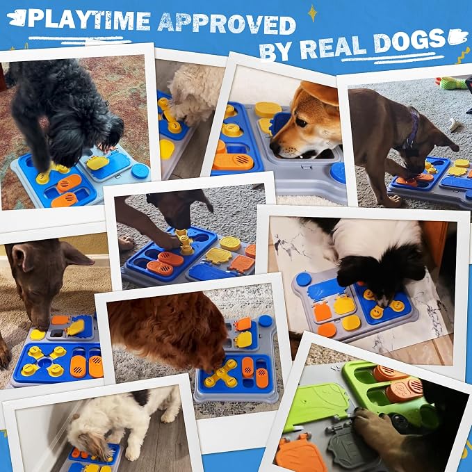 Dog Puzzle Toy, Dog Enrichment Toys, Level 1 Interactive Treat Dispensing Toy for Dogs, Slow Feeder for Mental Stimulation, Non-Slip Base, Detachable Easy-Clean Tray, Green