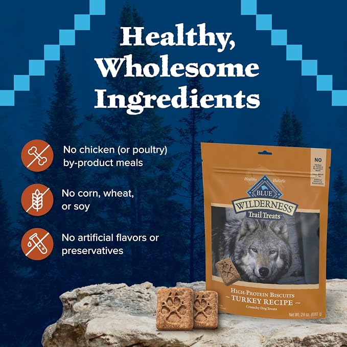 Blue Buffalo Wilderness Turkey Crunchy Dog Biscuits, Grain-Free, 24 oz | Real Turkey #1 Ingredient, Crunchy Biscuits, High Protein Nutrition, No Artificial Preservatives