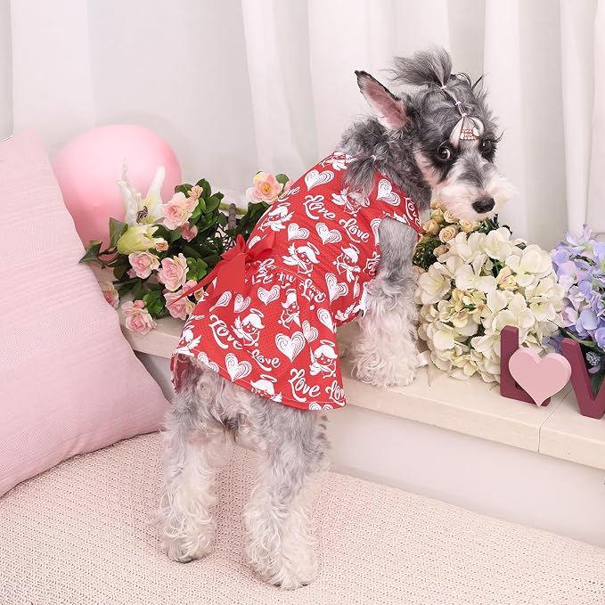 CuteBone Dog Mesh Dress Valentine's Day Puppy Sundress Pet Outfit Summer Fashion for Small Dogs Girl Cat Clothes