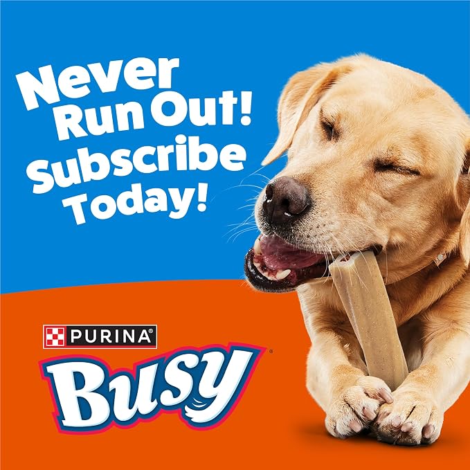 Purina Busy Bone Adult Toy Breed Dog Chew Bone Treats, Tiny - 30 ct. Pouch