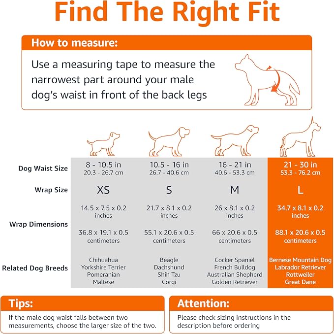 Amazon Basics Male Dog Diapers, Ultra Absorbent Disposable Wrap with Wetness Indicator, Secure Fit, Leakproof and Breathable, Large, 30 Count