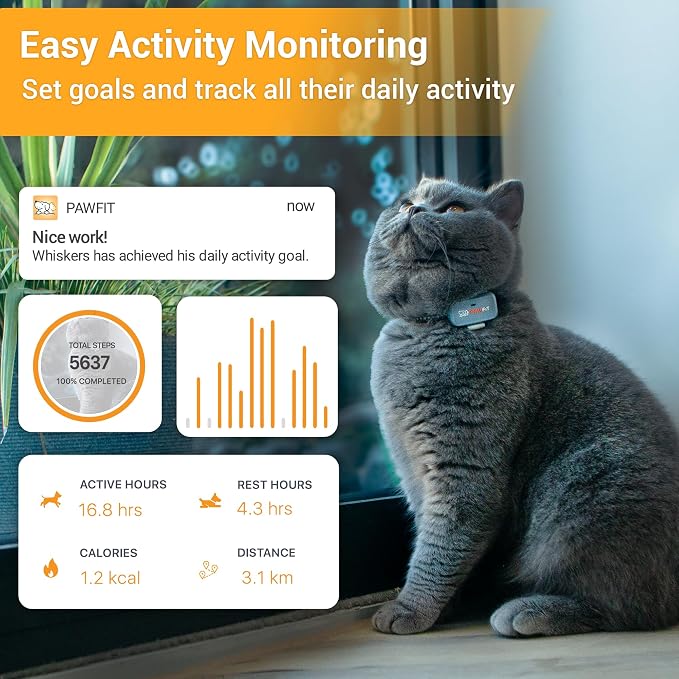 Pawfit Lite 4G GPS Cat Tracker, Live Tracking, Ultra-Light, Simply White