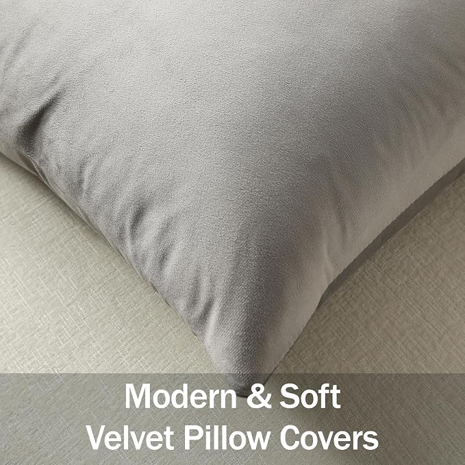 Throw Pillow Covers 20x20 Light-Grey: Pack of 2 Cozy Soft Velvet Square Modern Luxury Decorative Throw Pillow Cases for Sofa Couch Living Room Bed Home Decor