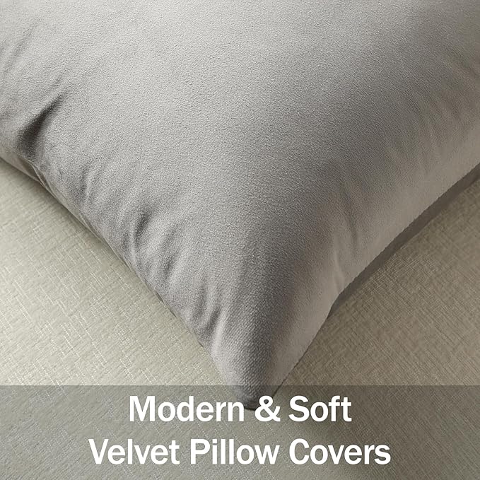 Euro Sham Covers 26x26 Light-Grey: Pack of 2 Cozy Soft Velvet Square Modern Luxury Decorative Throw Pillow Cases for Sofa Couch Living Room Bed Home Decor