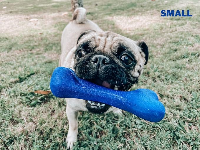 SuperChewer Tough Dog Bone Toy | Lifetime Replacement | Strong Natural Rubber | Great Dog Fetch Toy | Chew Toys for Dogs | Ultra Durable Chew Toys for Moderate Chewers | Large Breed Tested