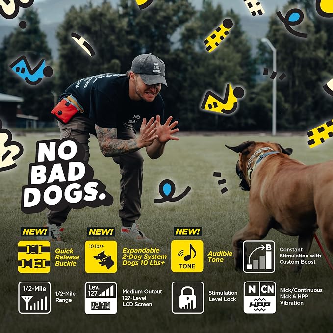 Dogtra E-Collar Tom Davis 280C 2.0 [2025 Edition], Boost & Lock, Waterproof, 1/2-Mile Range Dog Training Collar with Remote, Rechargeable, 127 Levels, Vibration, Bungee, No Bad Dogs Trainers