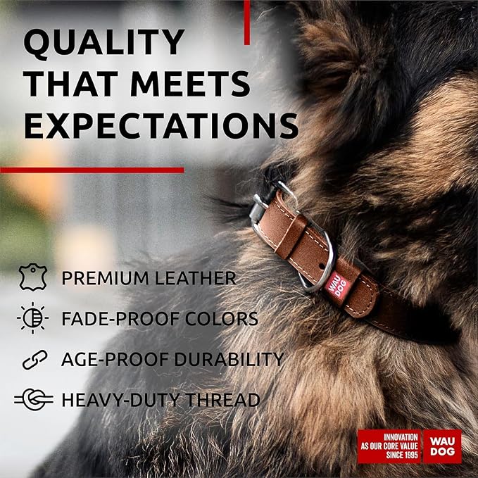 WAUDOG Genuine Leather Dog Collar Adjustable Large Medium Small QR Code Tag