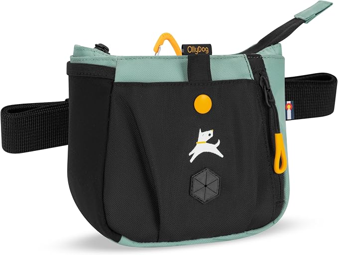 OllyDog Backcountry Day Bag | Dog Training Treat Pouch | Eco-Friendly Recycled Fabric Fanny Pack with Zipper Closure, Built-in Poop Bag Dispenser & Adjustable Waist Belt (Surf)