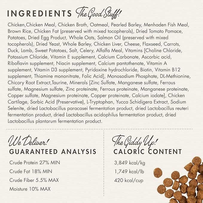Fromm Puppy Gold Premium Dry Dog Food - Chicken Recipe - 15 lb