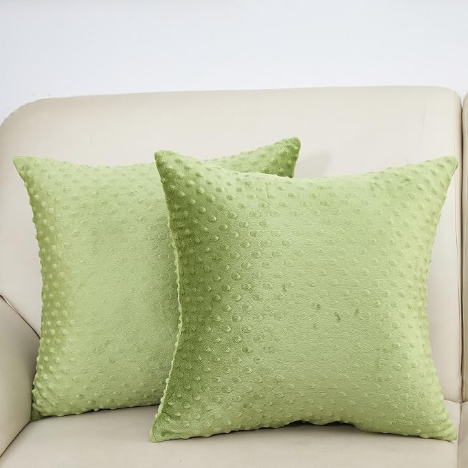 Water Resistant Polyester Pillow Inserts with Plush Dot Cover | Pack of 2 Square Form Indoor Decorative Pillow, Bed and Couch Pillows, 18 x 18 Inches, Sage