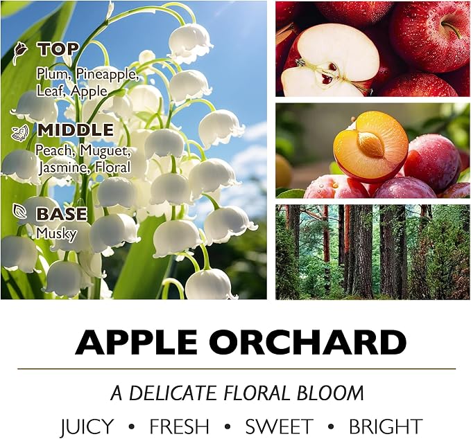 HomeLights Large jar Candle | 3-Wick Long-Lasting Scented Candles, 34oz Natural Soy Wax Candle for Home Scented, Eclectic Mixed Styles Gifts for Women & Men, Apple Orchard