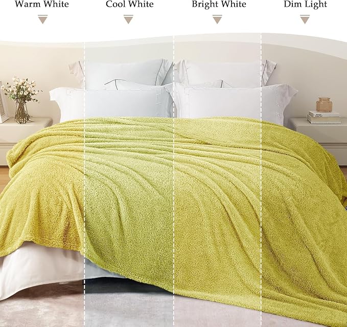 Exclusivo Mezcla Fleece Throw Blanket for Couch and Sofa, 50" x 60" | Super Soft and Cozy Fluffy Blanket for Women, Lightweight and Fuzzy Throw for Home Decor, All Season, Light Green